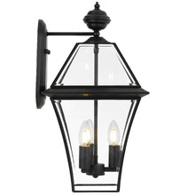 Black Rye Outdoor Wall Light